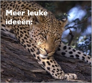 verre reis met kids