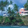 Blue Haven