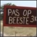 reisverslag kinderen