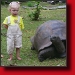 reisverslag kinderen