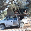 rondreizen kinderen safari afrika