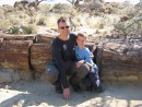 petrifiedforest
