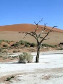 sossusvlei